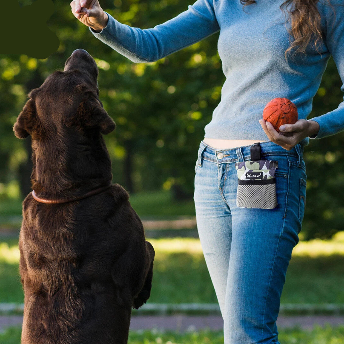 TreatPro™ Dog Training Treat Pouch — Hands-Free Snack Bag for Training & Walks